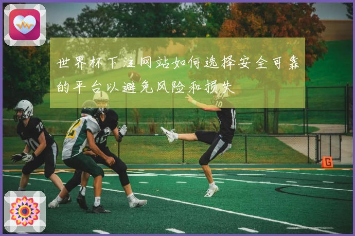 世界杯下注网站如何选择安全可靠的平台以避免风险和损失