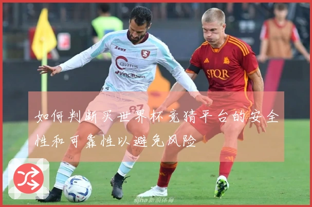 如何判断买世界杯竞猜平台的安全性和可靠性以避免风险