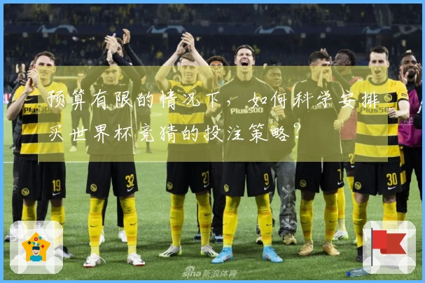 预算有限的情况下，如何科学安排买世界杯竞猜的投注策略？