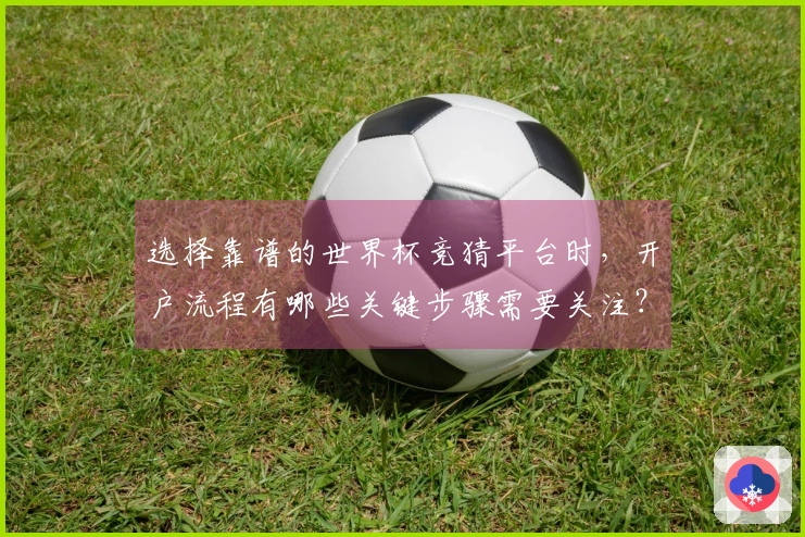 选择靠谱的世界杯竞猜平台时，开户流程有哪些关键步骤需要关注？