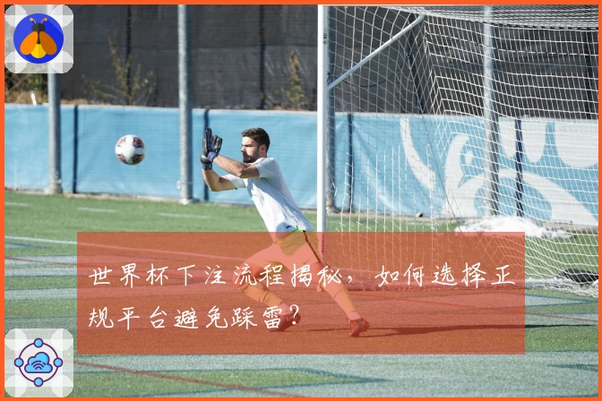 世界杯下注流程揭秘，如何选择正规平台避免踩雷？