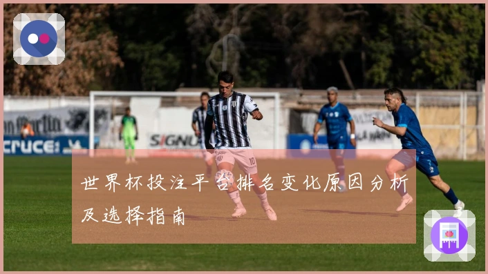 世界杯投注平台排名变化原因分析及选择指南