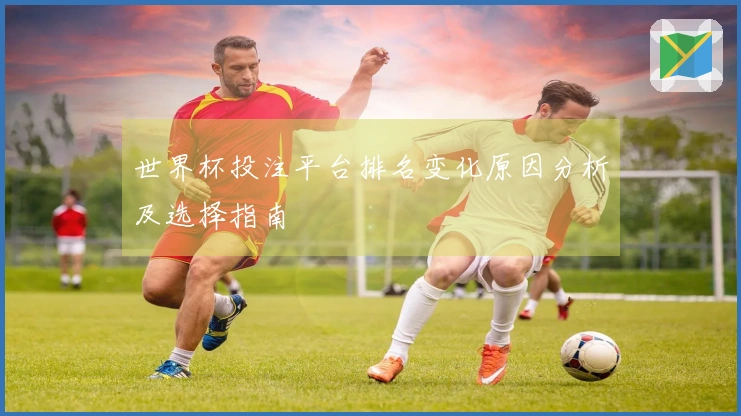 世界杯投注平台排名变化原因分析及选择指南