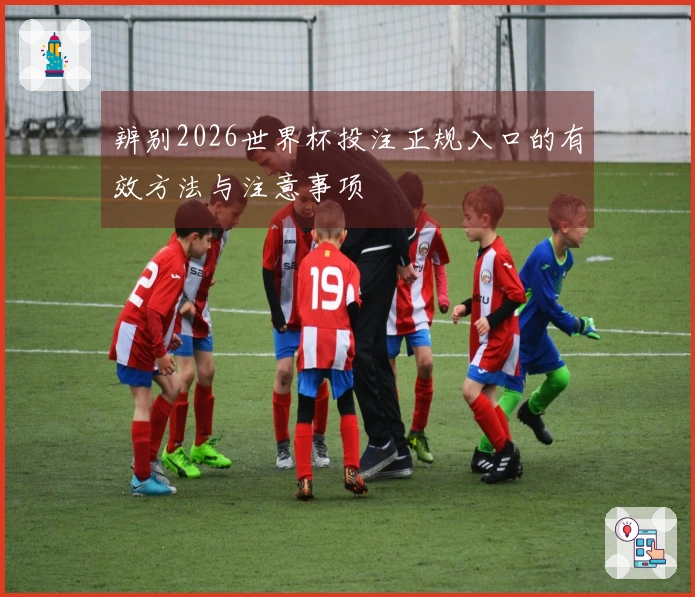 辨别2026世界杯投注正规入口的有效方法与注意事项