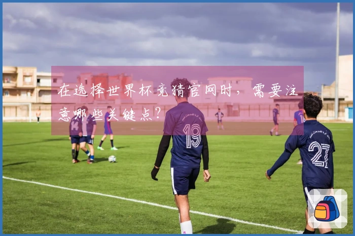 在选择世界杯竞猜官网时，需要注意哪些关键点？