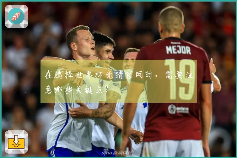 在选择世界杯竞猜官网时,需要注意哪些关键点?