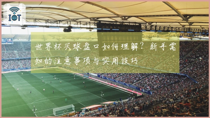 世界杯买球盘口如何理解？新手需知的注意事项与实用技巧