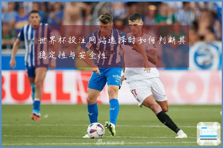 世界杯投注网站选择时如何判断其稳定性与安全性