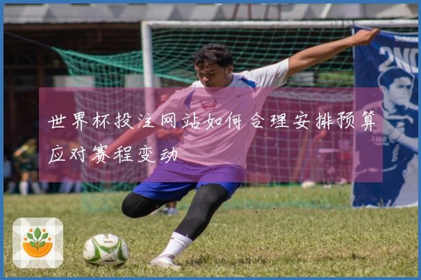 世界杯投注网站如何合理安排预算应对赛程变动