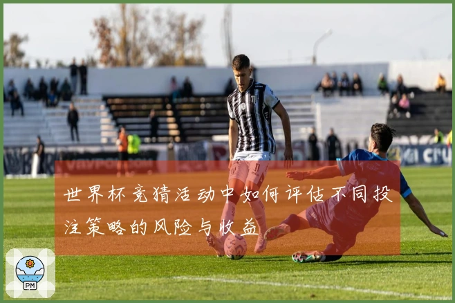 世界杯竞猜活动中如何评估不同投注策略的风险与收益