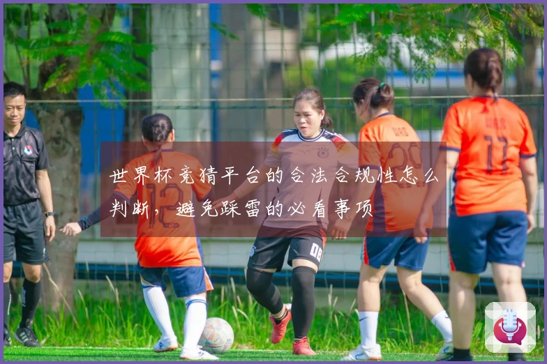 世界杯竞猜平台的合法合规性怎么判断，避免踩雷的必看事项
