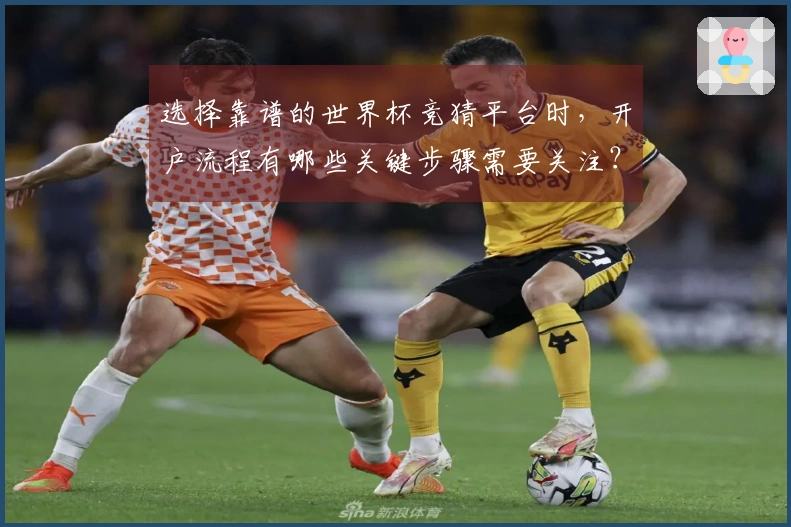 选择靠谱的世界杯竞猜平台时,开户流程有哪些关键步骤需要关注?