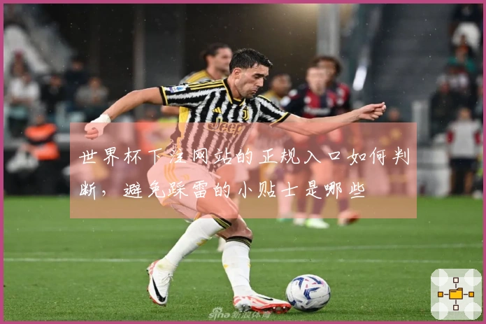 世界杯下注网站的正规入口如何判断，避免踩雷的小贴士是哪些