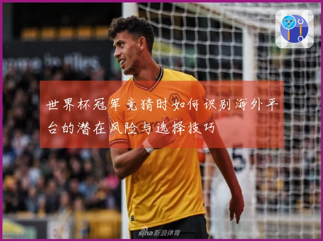 世界杯冠军竞猜时如何识别海外平台的潜在风险与选择技巧