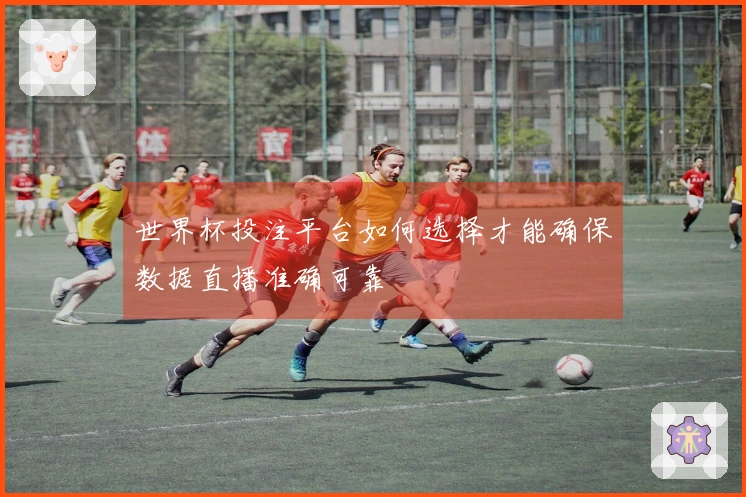 世界杯投注平台如何选择才能确保数据直播准确可靠