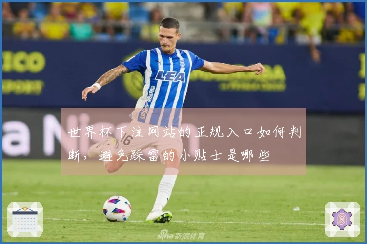 世界杯下注网站的正规入口如何判断，避免踩雷的小贴士是哪些