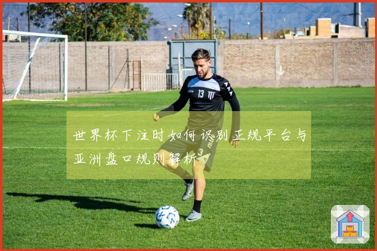 世界杯下注时如何识别正规平台与亚洲盘口规则解析