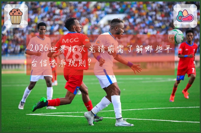 2026世界杯买竞猜前需了解哪些平台信誉和规则？