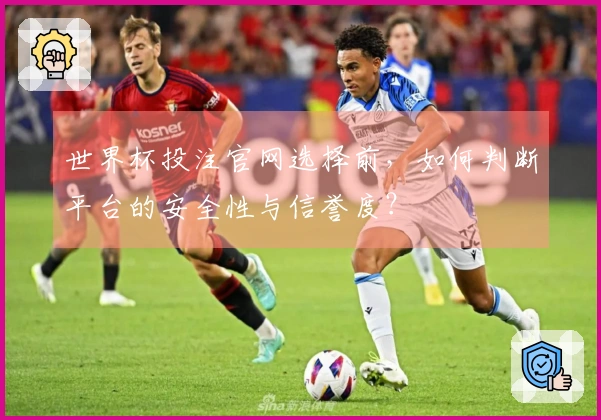 世界杯投注官网选择前，如何判断平台的安全性与信誉度？