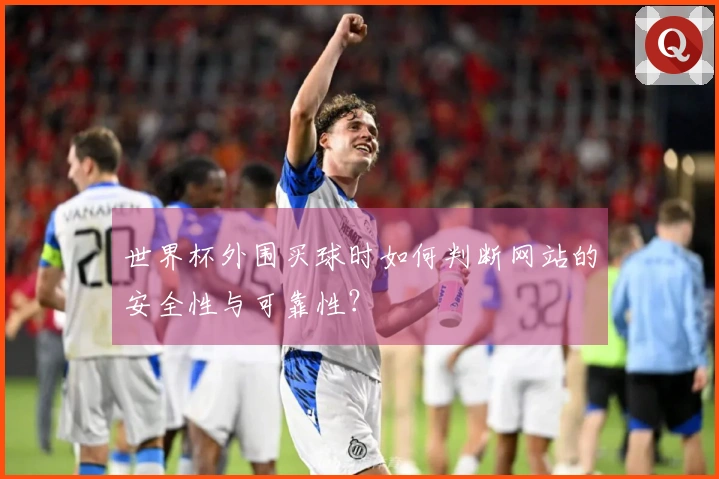 世界杯外围买球时如何判断网站的安全性与可靠性？