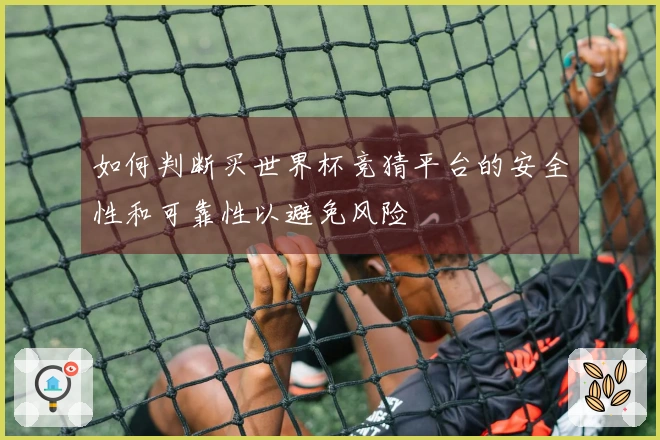 如何判断买世界杯竞猜平台的安全性和可靠性以避免风险