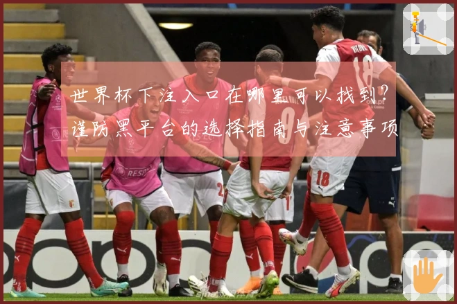 世界杯下注入口在哪里可以找到？谨防黑平台的选择指南与注意事项