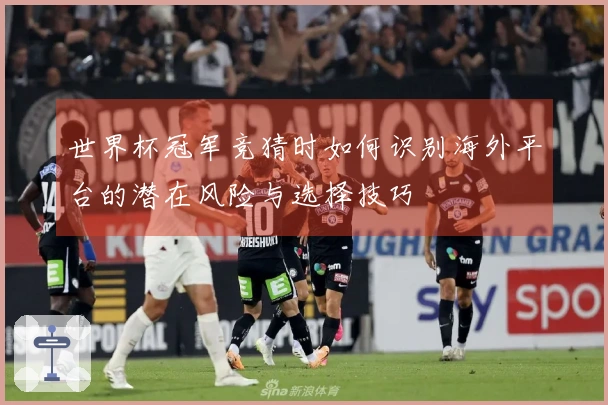 世界杯冠军竞猜时如何识别海外平台的潜在风险与选择技巧