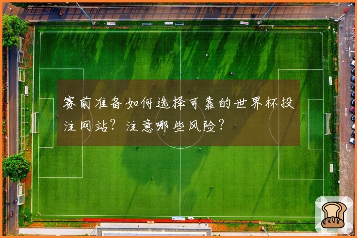 赛前准备如何选择可靠的世界杯投注网站？注意哪些风险？